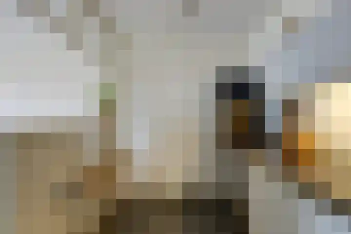 Aziëlaan 432 Utrecht thumbnail 15