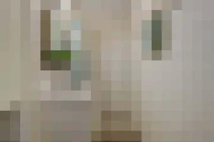 Aziëlaan 432 Utrecht thumbnail 26