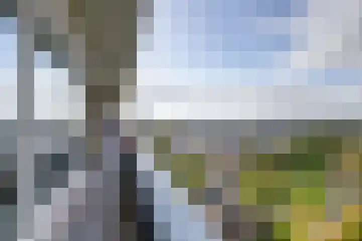 Aziëlaan 432 Utrecht thumbnail 37