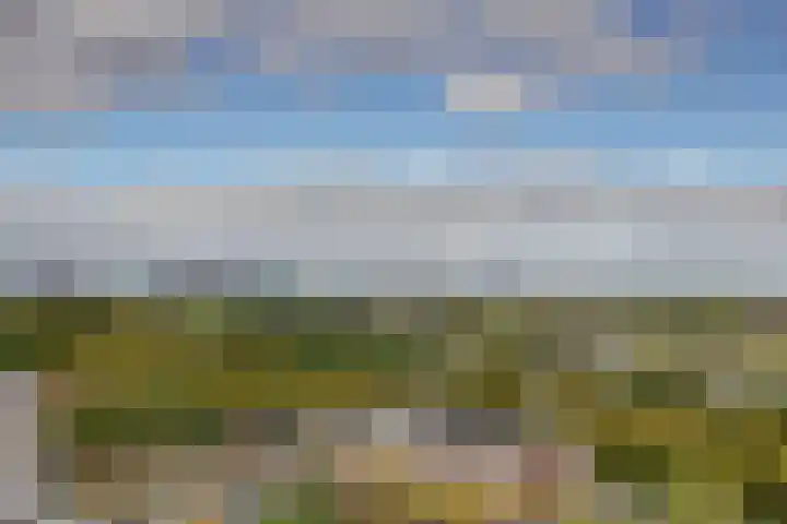Aziëlaan 432 Utrecht thumbnail 40