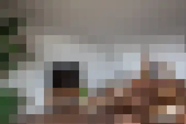 Aziëlaan 447 Alphen aan den Rijn thumbnail 10