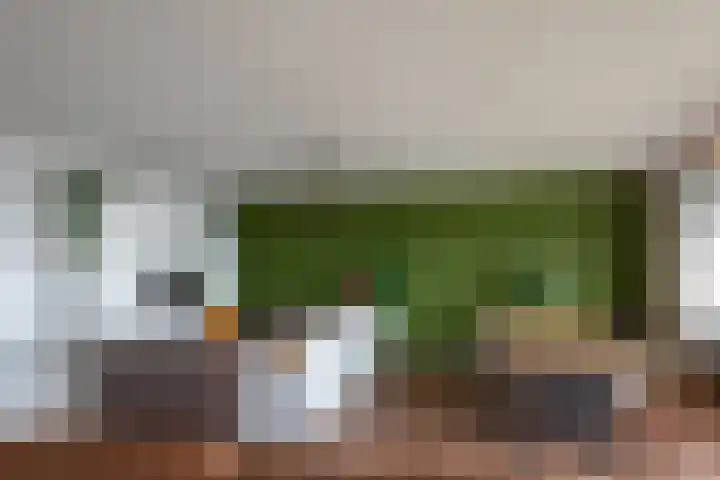 Aziëlaan 447 Alphen aan den Rijn thumbnail 12