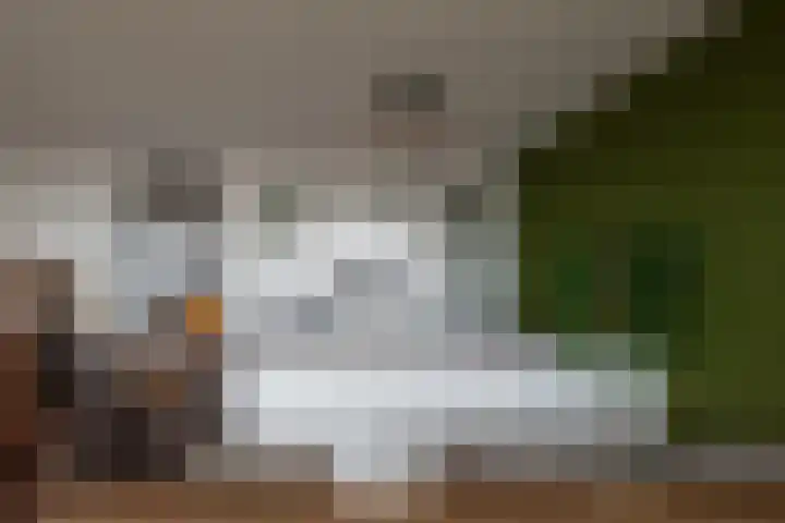 Aziëlaan 447 Alphen aan den Rijn thumbnail 16