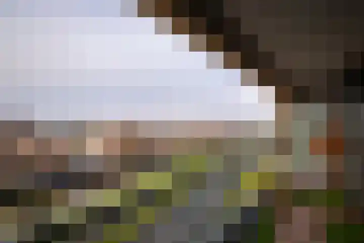Aziëlaan 447 Alphen aan den Rijn thumbnail 18
