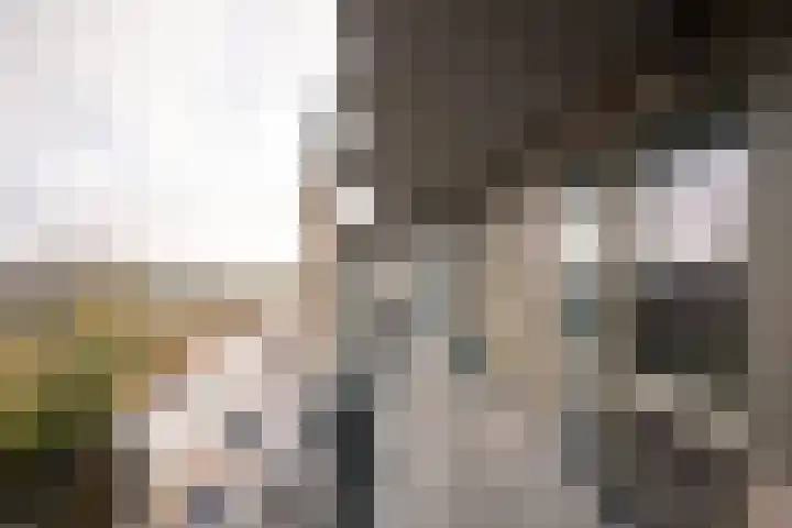 Aziëlaan 447 Alphen aan den Rijn thumbnail 5