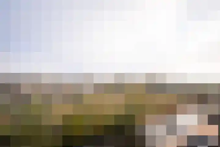 Aziëlaan 447 Alphen aan den Rijn thumbnail 7
