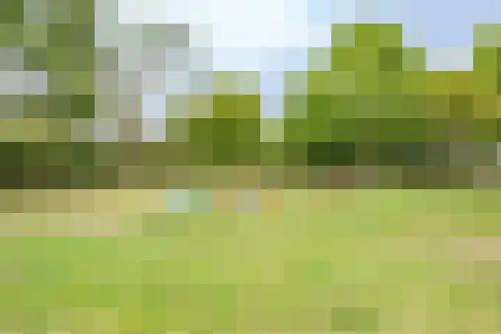 Aziëlaan 450 Utrecht thumbnail 31