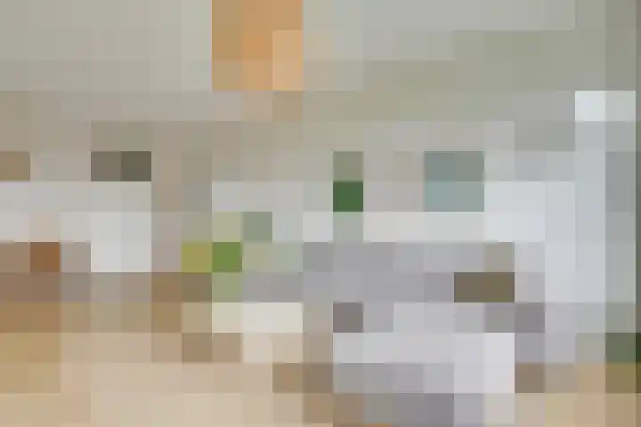 Aziëlaan 450 Utrecht thumbnail 5