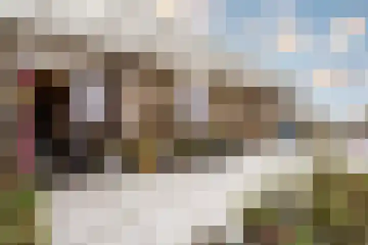 Aziëlaan 464 Utrecht thumbnail 30