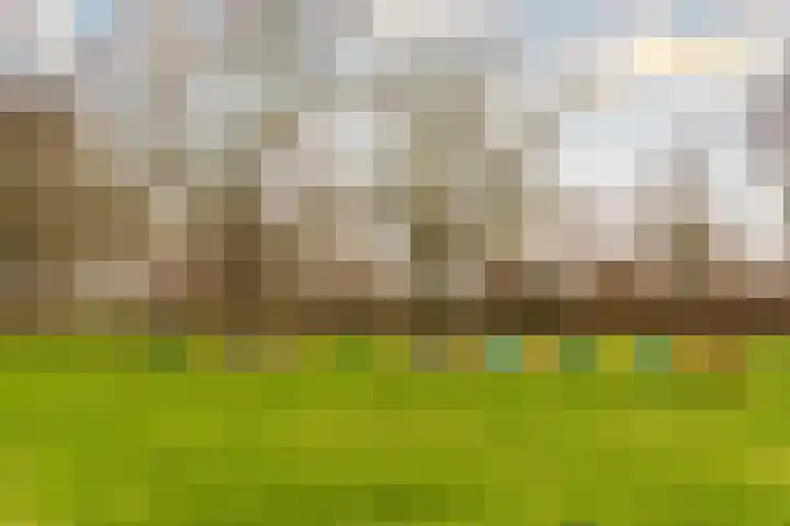 Aziëlaan 464 Utrecht thumbnail 39