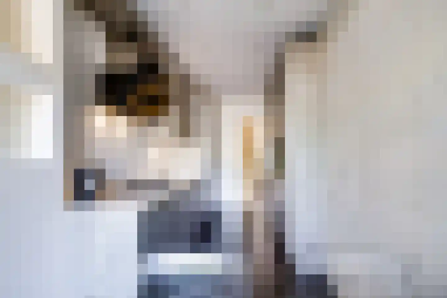 Aziëlaan 524 Utrecht thumbnail 19