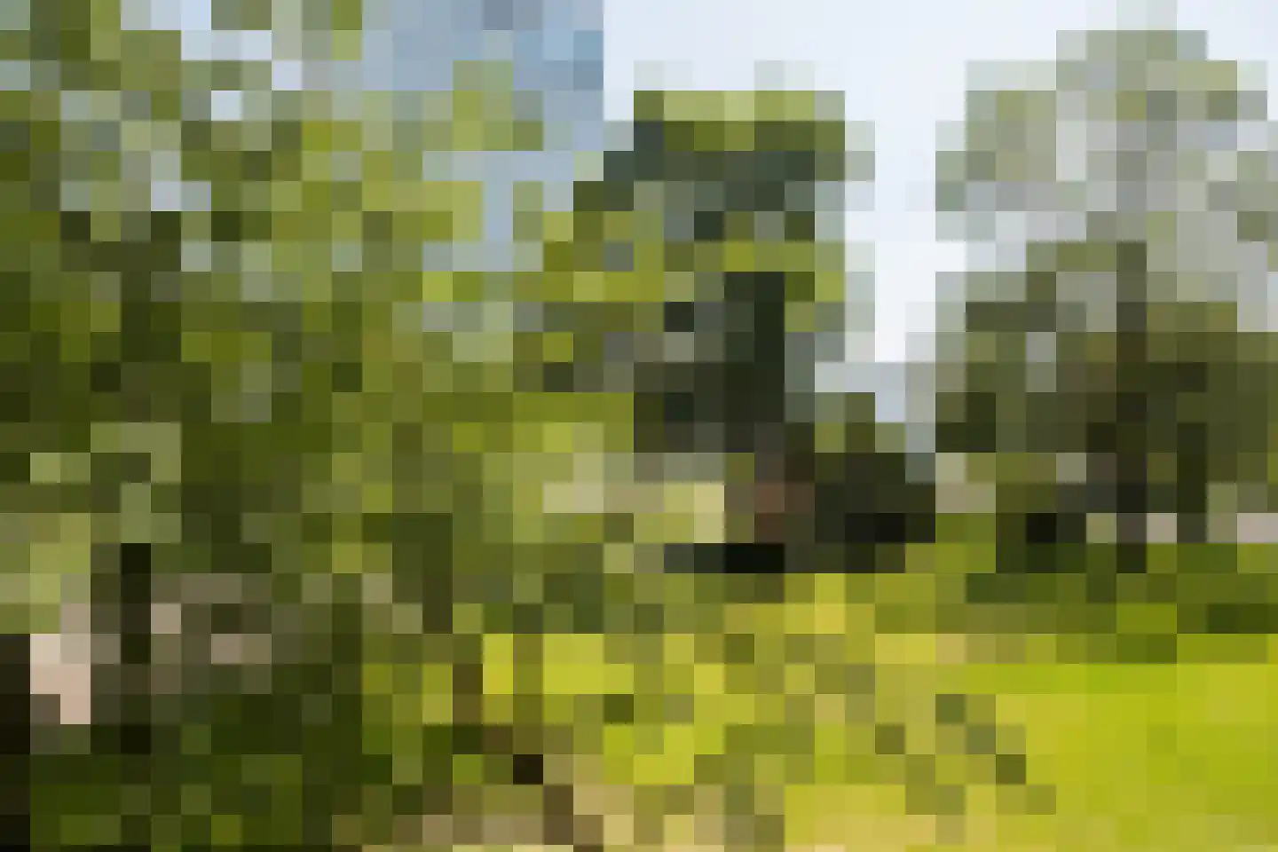 Aziëlaan 524 Utrecht thumbnail 29
