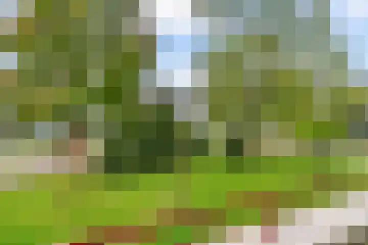 Aziëlaan 526 Utrecht thumbnail 6