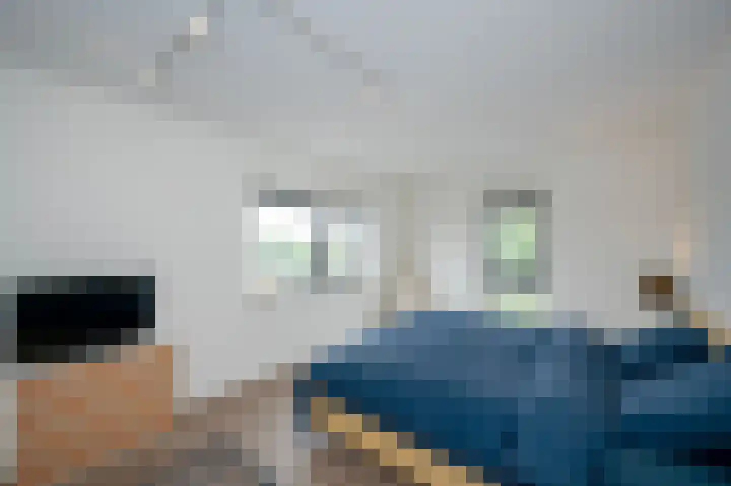 Aziëlaan 527 Alphen aan den Rijn thumbnail 15