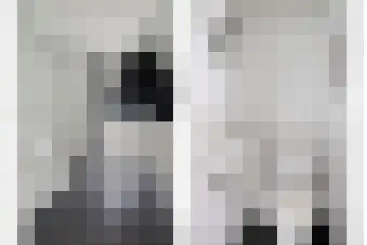 Aziëlaan 55 Son en Breugel thumbnail 34