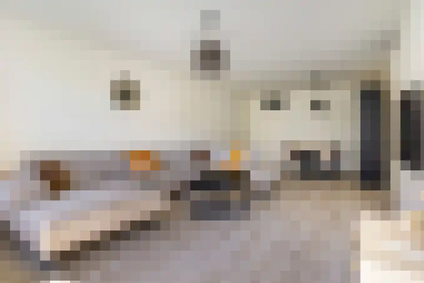 Aziëlaan 556 Utrecht thumbnail 5