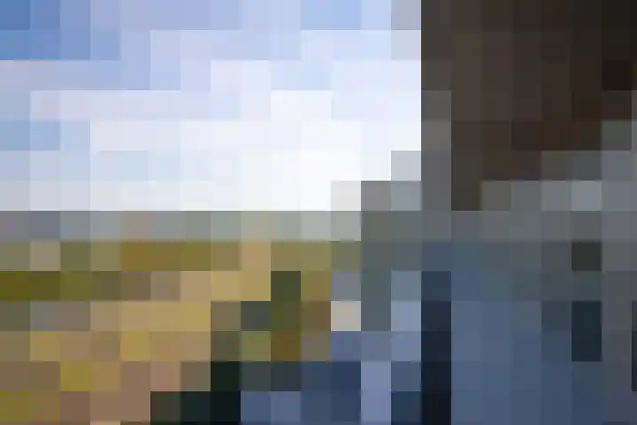 Aziëlaan 569 Alphen aan den Rijn thumbnail 5