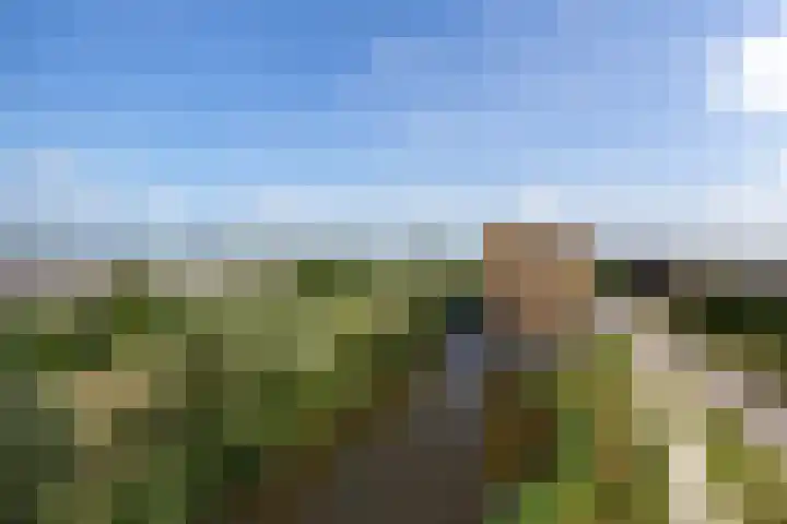 Aziëlaan 581 Alphen aan den Rijn thumbnail 11