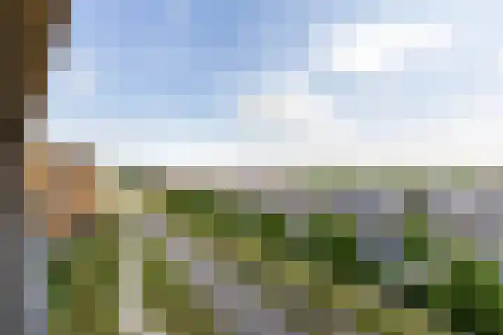 Aziëlaan 581 Alphen aan den Rijn thumbnail 16