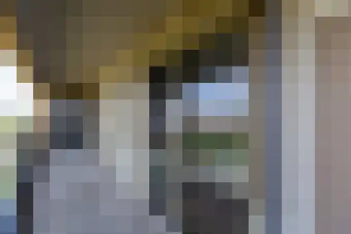 Aziëlaan 581 Alphen aan den Rijn thumbnail 4