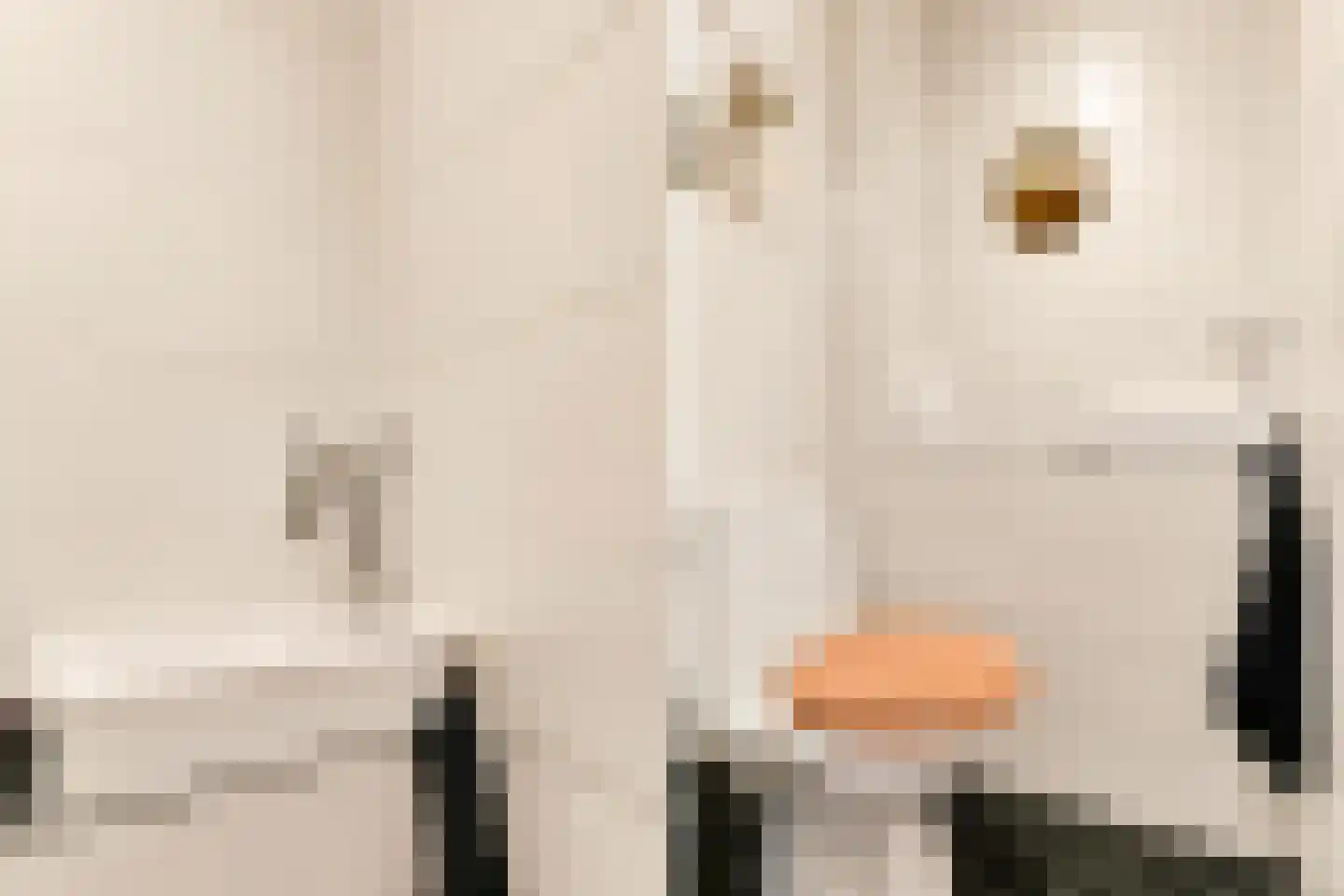 Aziëlaan 592 Utrecht thumbnail 16