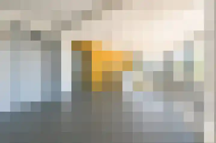 Aziëlaan 617 Alphen aan den Rijn thumbnail 21