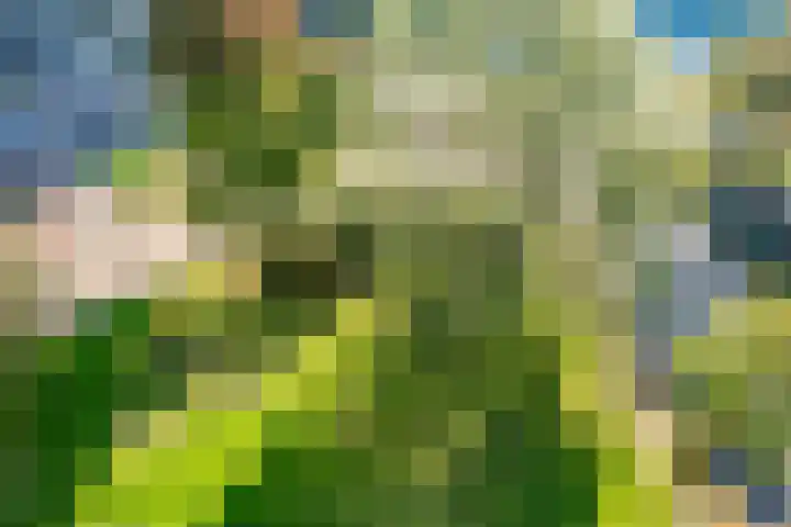 Aziëlaan 626 Utrecht thumbnail 32