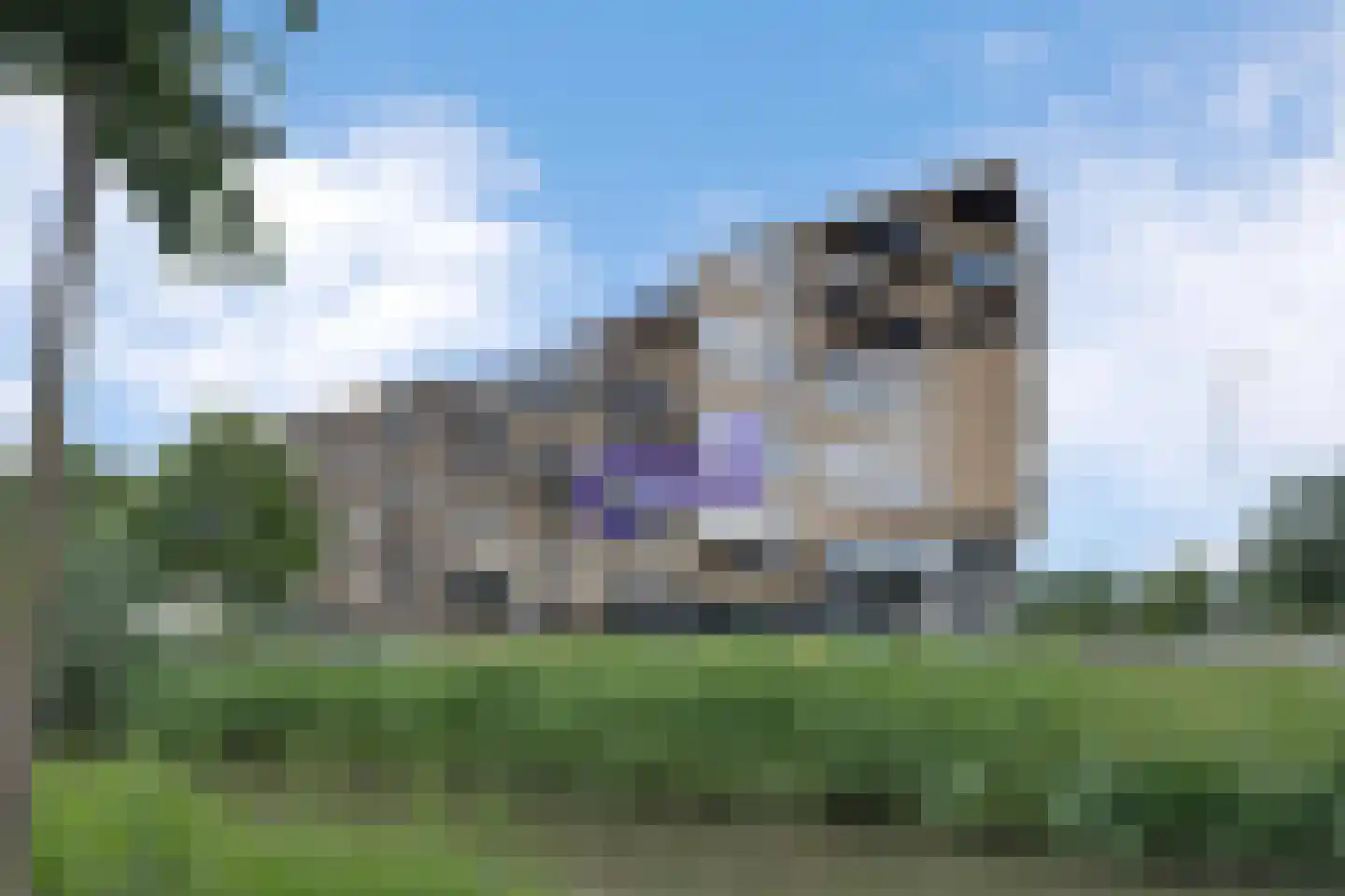 Aziëlaan 639 Alphen aan den Rijn