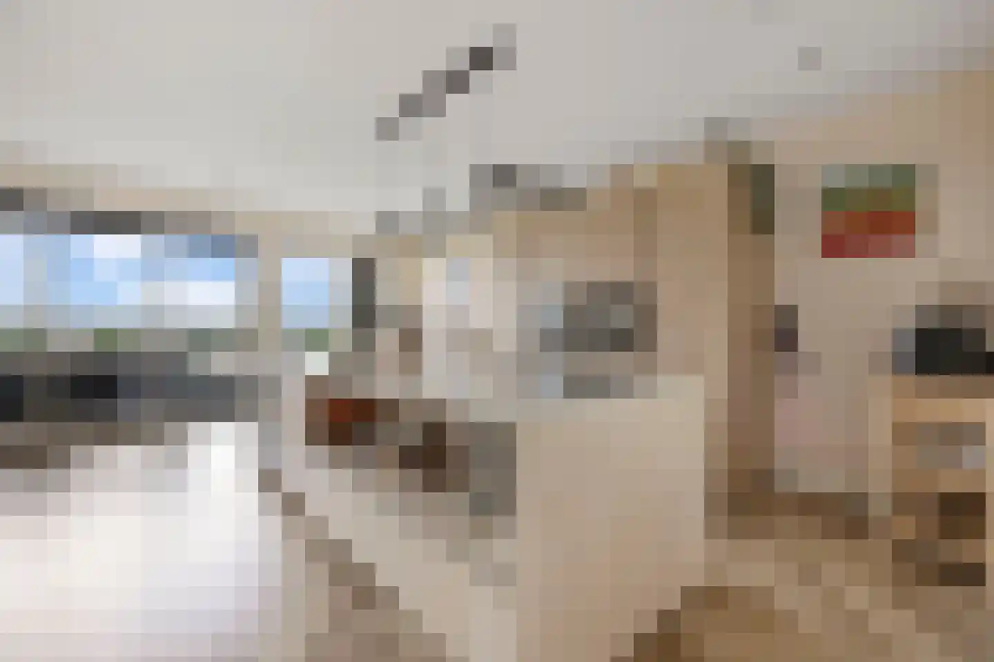 Aziëlaan 639 Alphen aan den Rijn foto 3