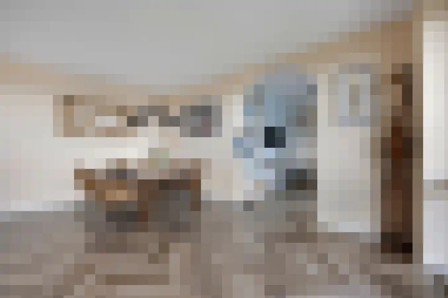 Aziëlaan 639 Alphen aan den Rijn thumbnail 4