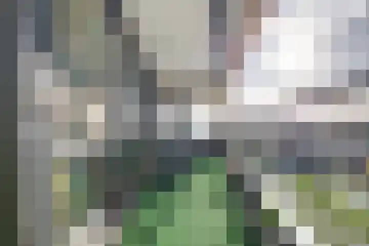 Aziëlaan 675 Alphen aan den Rijn thumbnail 35