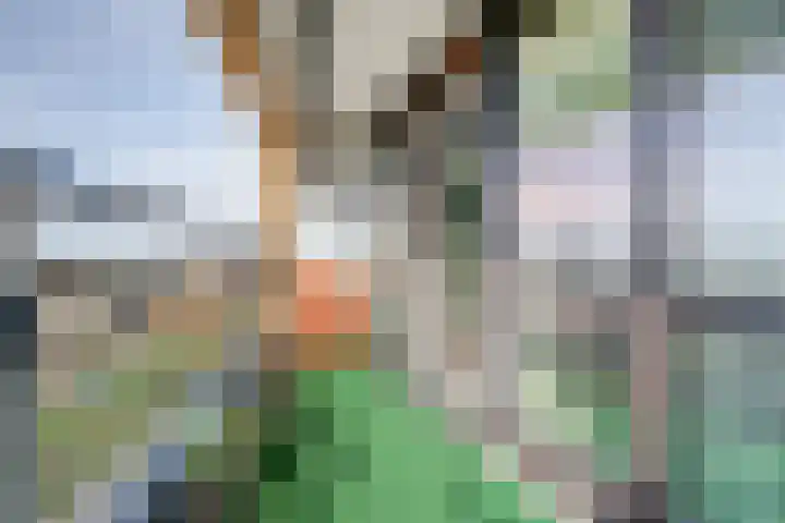 Aziëlaan 675 Alphen aan den Rijn thumbnail 36
