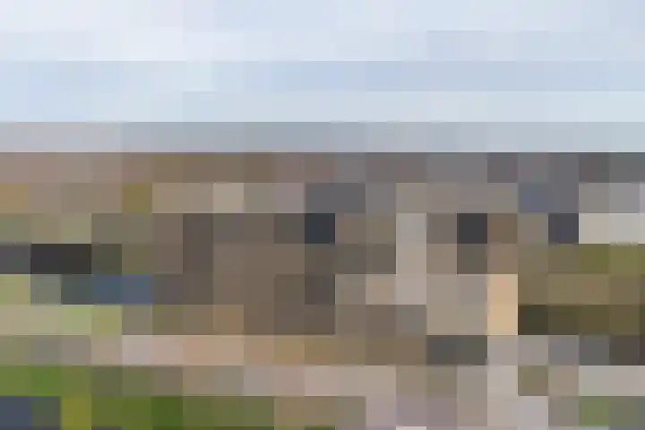 Aziëlaan 675 Alphen aan den Rijn thumbnail 45