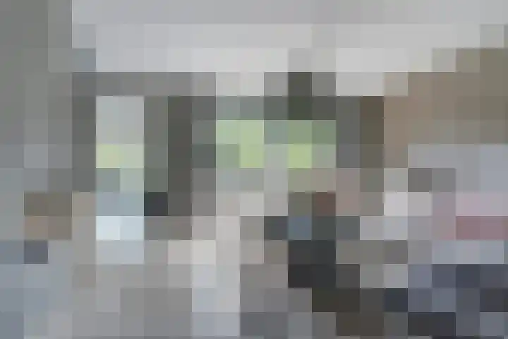 Aziëlaan 74 Drunen thumbnail 11