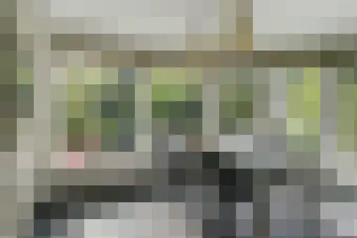 Aziëlaan 74 Drunen thumbnail 16