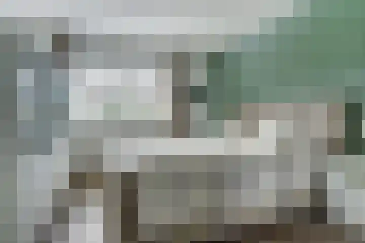 Aziëlaan 74 Drunen thumbnail 19