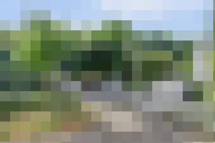 Aziëlaan 74 Drunen foto 2