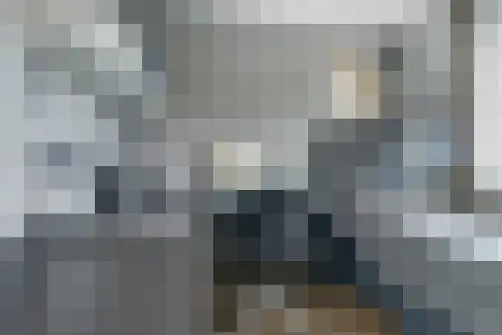 Aziëlaan 74 Drunen thumbnail 21