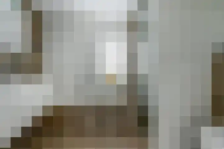 Aziëlaan 74 Drunen thumbnail 24