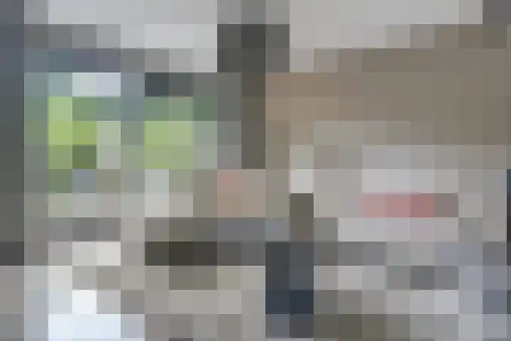 Aziëlaan 74 Drunen foto 3