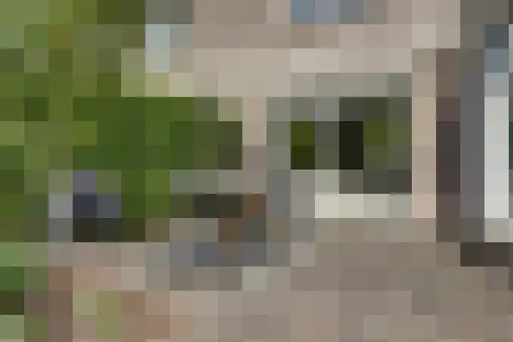 Aziëlaan 74 Drunen thumbnail 33