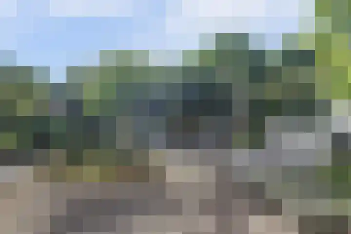 Aziëlaan 74 Drunen thumbnail 34