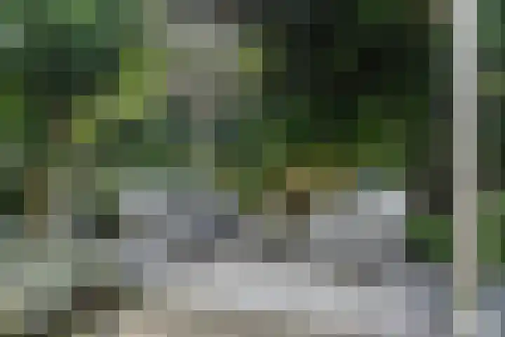 Aziëlaan 74 Drunen thumbnail 35