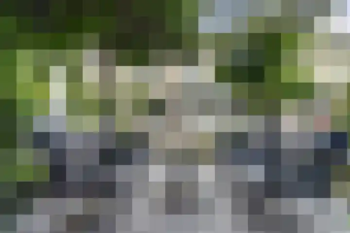 Aziëlaan 74 Drunen thumbnail 36