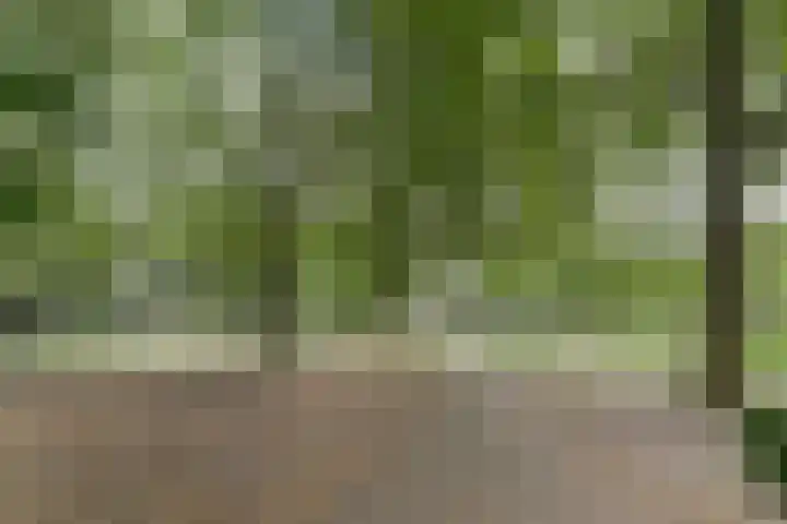 Aziëlaan 74 Drunen thumbnail 37