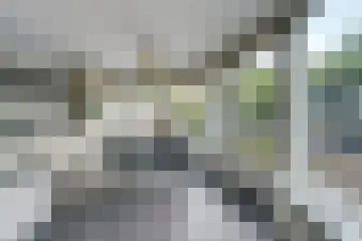 Aziëlaan 74 Drunen thumbnail 4