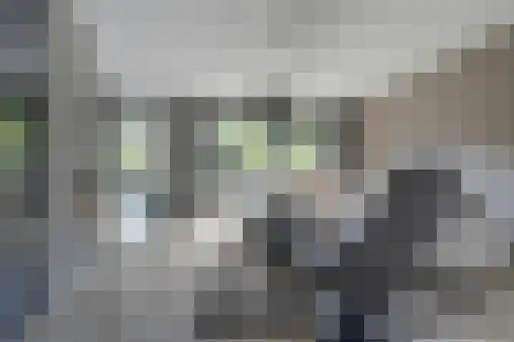 Aziëlaan 74 Drunen thumbnail 9
