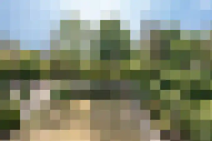 Aziëlaan 78 Son en Breugel thumbnail 29