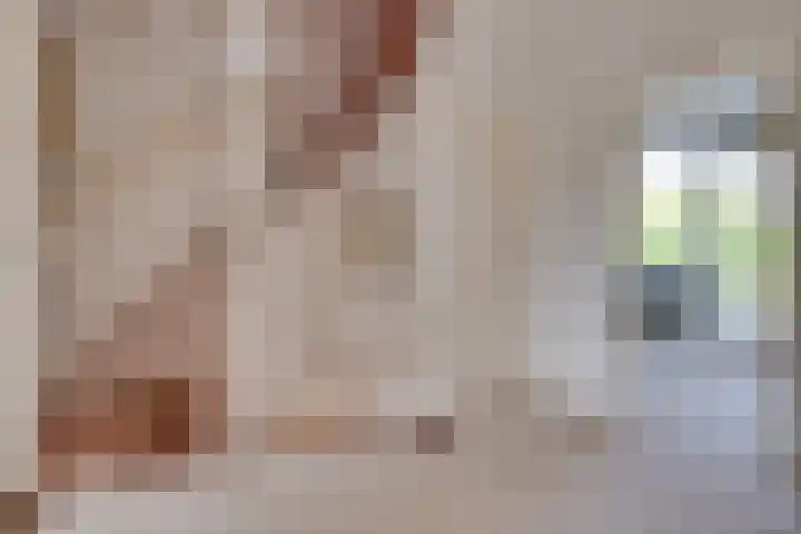 Aziëlaan 78 Son en Breugel thumbnail 35