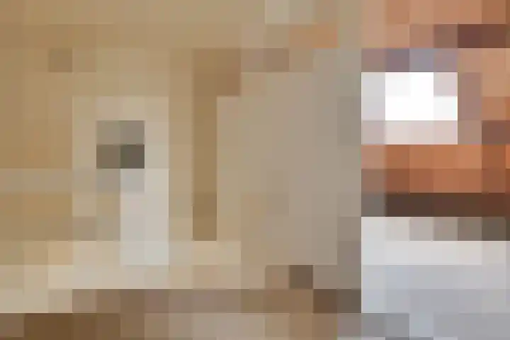 Aziëlaan 78 Son en Breugel thumbnail 39